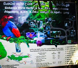 Sinharaj Rainforest